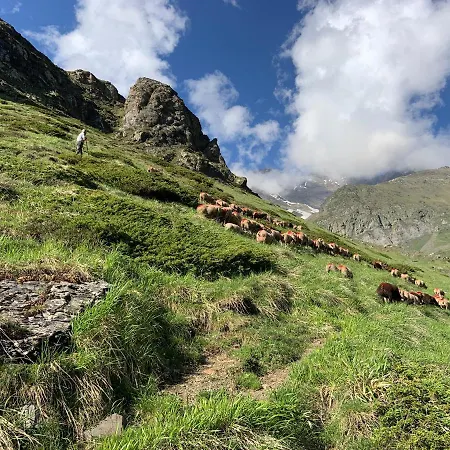 Maison écologique Pleine Montagne Сasa de vacaciones Gèdre