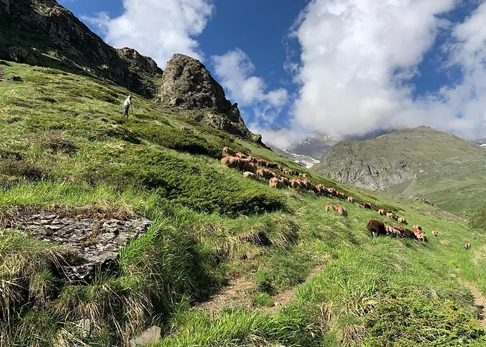 Maison Ecologique Pleine Montagne Feriehus Gèdre